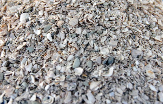 ������� �������� 