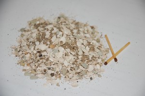 ��������� - ������� �������� 