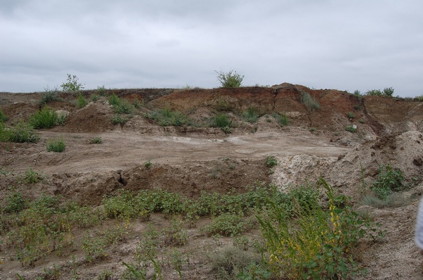 ������� �������������