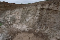 ������� �������� 