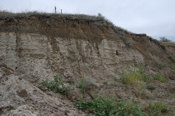 ��������� ��������� ������� ����������� ����.