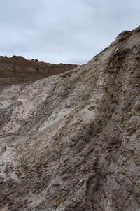 ����� ������� ������� 