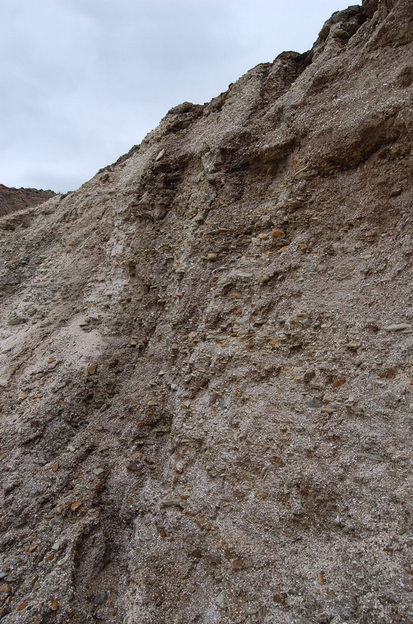 ������� ��������