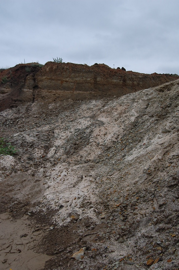 ������� ��� ������� �� ������ �������� �������.