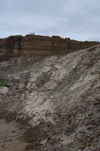 ������� ��� ������� �� ������ �������� �������.