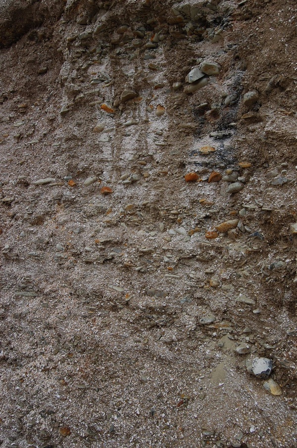 ����� ������� ��������