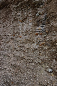 ����� ������� ��������