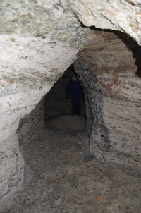 ������� ����������� ����