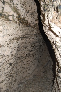 ������� �������� - �� ������ ������ ��������