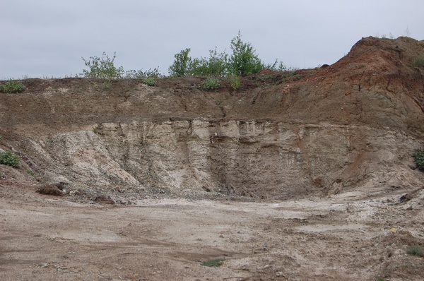 ������� �������� ��� ����� ������ 